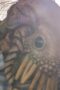 Nonton Film Kamen Rider Black Sun Season 1 Episode 8 Bioskop21 Nonton Film Kamen Rider Black Sun Season 1 Episode 8 Bioskop21