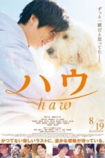 Nonton Film Haw (2022) Bioskop21 Nonton Film Haw (2022) Bioskop21