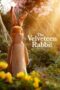 Nonton Film The Velveteen Rabbit (2023) Bioskop21 Nonton Film The Velveteen Rabbit (2023) Bioskop21