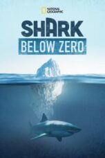 Nonton Film Shark Below Zero (2023) Bioskop21 Nonton Film Shark Below Zero (2023) Bioskop21