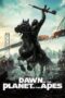 Nonton Film Dawn of the Planet of the Apes (2014) Bioskop21 Nonton Film Dawn of the Planet of the Apes (2014) Bioskop21