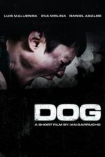 Nonton Film Dog (2023) Bioskop21 Nonton Film Dog (2023) Bioskop21