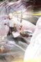 Nonton Film The Demon Hunter Season 3 Episode 10 Bioskop21