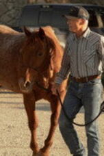 Nonton Film Dutton Ranch Season 1 Episode 5 Bioskop21