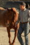 Nonton Film Dutton Ranch Season 1 Episode 5 Bioskop21 Nonton Film Dutton Ranch Season 1 Episode 5 Bioskop21