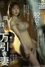 Nonton Film DLDSS-522 Naho Sumi Bioskop21